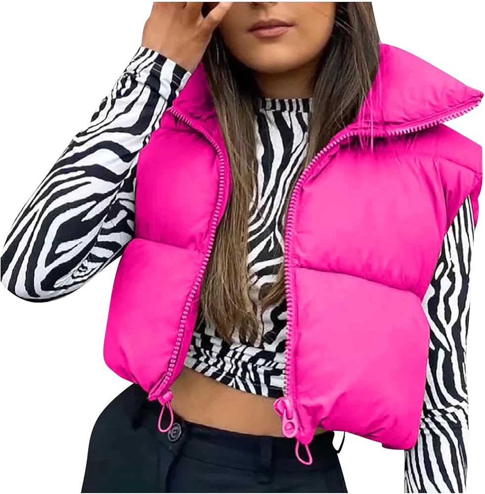 HTHLVMD Women's Winter Crop Vest Lightweight Sleeveless Warm Outerwear Puffer Vest Padded Gilet