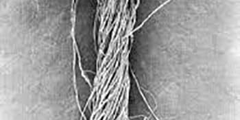 cotton yarn