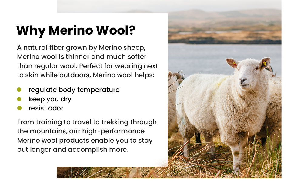 Why Merino Wool?