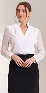 Sheer Sleeve Work Blouse