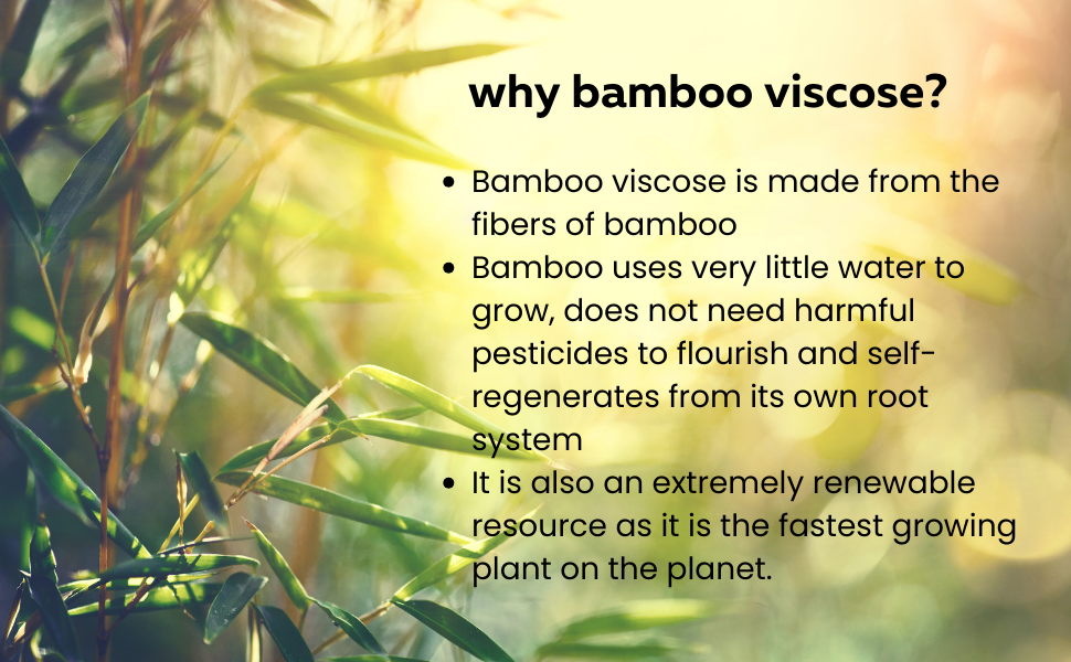 Why bamboo