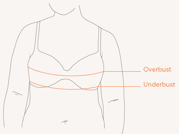 Warners, Bra fit guide