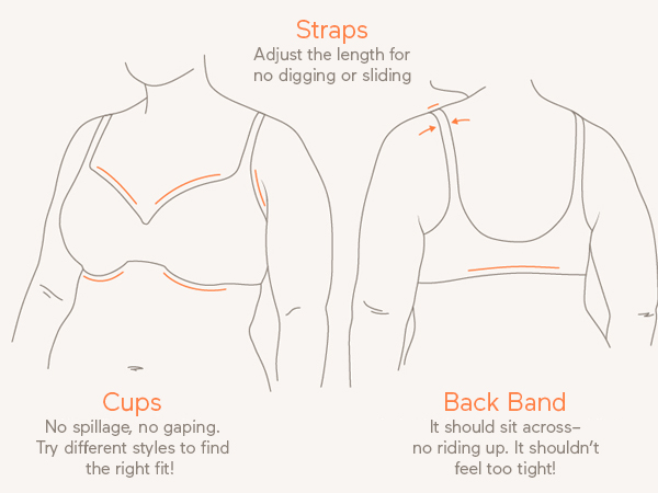 Warners, Bra fit guide, Fit guide