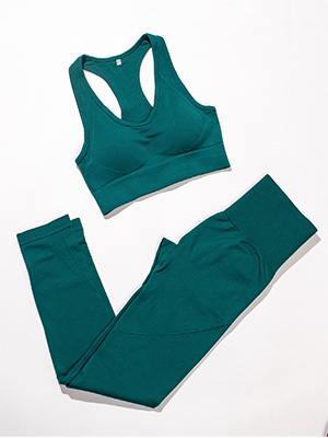 women workout sets