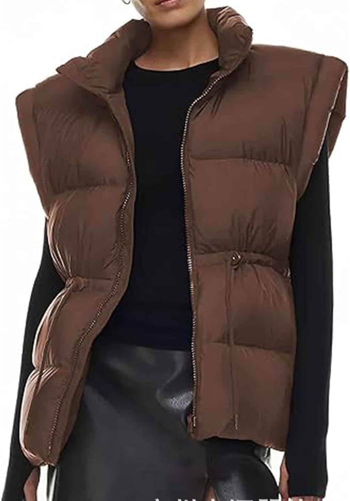 Puffer Vest for Women Winter Oversize Puffy Sleeveless Down Jackets Stand Collar Zipper Baggy Padded Gilet Coat